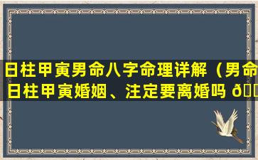 日柱甲寅男命八字命理详解（男命日柱甲寅婚姻、注定要离婚吗 💐 ）